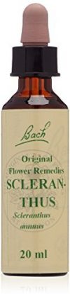 Gall Pharma BachblGte Nr. 28 Original Flower Remedies Scleranthus, 1er Pack (1 x 20 ml)