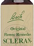 Gall Pharma BachblGte Nr. 28 Original Flower Remedies Scleranthus, 1er Pack (1 x 20 ml)