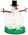 WOW Stuff 872123-12 C Science Museum Crystal Schneemann Kit