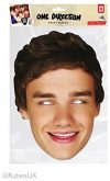 Liam Payne Maske One Direction