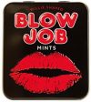 Spencer and Fleetwood Penis geformte Blow Job Pfefferminz-Bonbons, 1er Pack (1 x 0.045 kg)