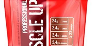 Activlab, Muscle Up Protein, Nuss, 1er Pack (1x 700g)