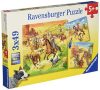 Ravensburger 09250 - Im wilden Westen