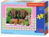 Castorland B-13142-1 - Dachshund Puppies, Puzzle 120 teilig