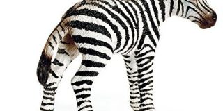 Schleich 14393  - Wild Life, Zebra Fohlen