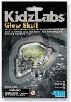 4M 00-03313 - Kidz Labs - Glow Skull, Bunt