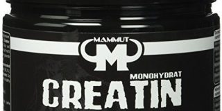 Mammut Creatin Monohydrat, magnesiumoptimiert, 300 g Dose