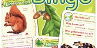 Abenteuer Schule - Natur Bingo