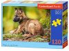 Castorland B-13258-1 - Puzzle Puppy in the Forest, 120 Teile