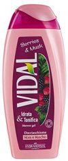 Vidal Brombeer- und Moosdusche 250 ml