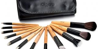 Glow 12 Piece Wooden Handle Professional Makeup Brushes in Black Case