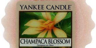 Yankee Candle Wax Melt CHAMPACA BLOSSOM, 22 g