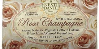 Nesti Dante Seife Rosa Champagne 150 g, 1er Pack (1 x 150 g)