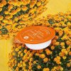 Chiara Ambra reinigende Feuchtigkeits-Schlafmaske Chrysanthemen f&uuml,r die intensive &Uuml,bernacht-Anwendung in Kapsel